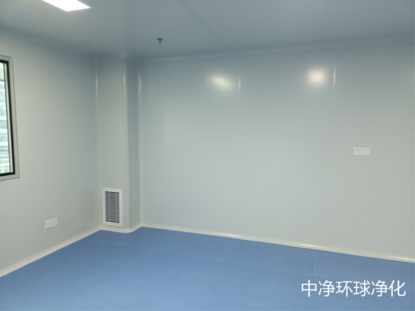 潔凈廠房?jī)艋照{(diào)系統(tǒng)